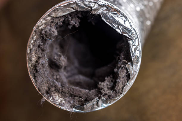 Best Local Air Duct Cleaning Services  in Springfield, MI